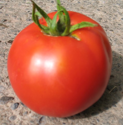 Thessaloniki Heirloom Tomato.  This small tomato ripened August 12, 2007