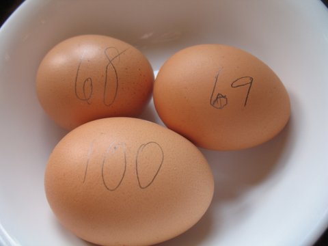 Giant 100 gram egg with two other eggs.