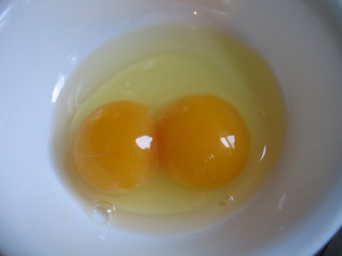 The huge egg was double yolked.
